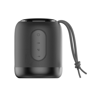 2000 mAh Bluetooth 5.0 Wireless Speaker BTS12