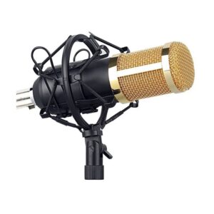 onal condenser microphone with patented audio reference companding for crystal-clear sound
